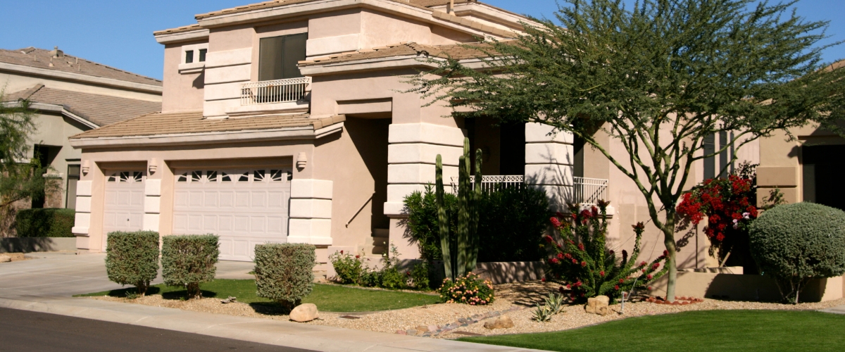 Large shade tree providing cooling comfort for a phoenix home.