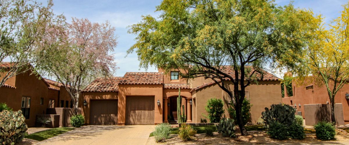 A stunning front yard in anthem, az with native shade trees.