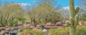 A diverse desert garden showcasing a variety of plants and trees adapted to arid conditions, creating a vibrant and sustainable outdoor space.