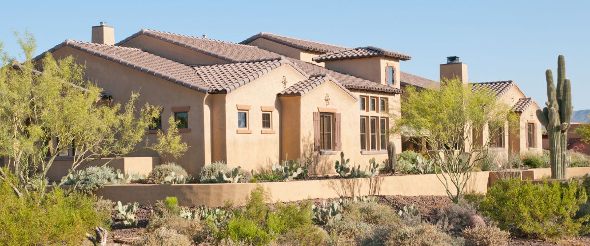 Thriving desert landscape with vibrant trees, showcasing the possibility of healthy trees in the phoenix area.