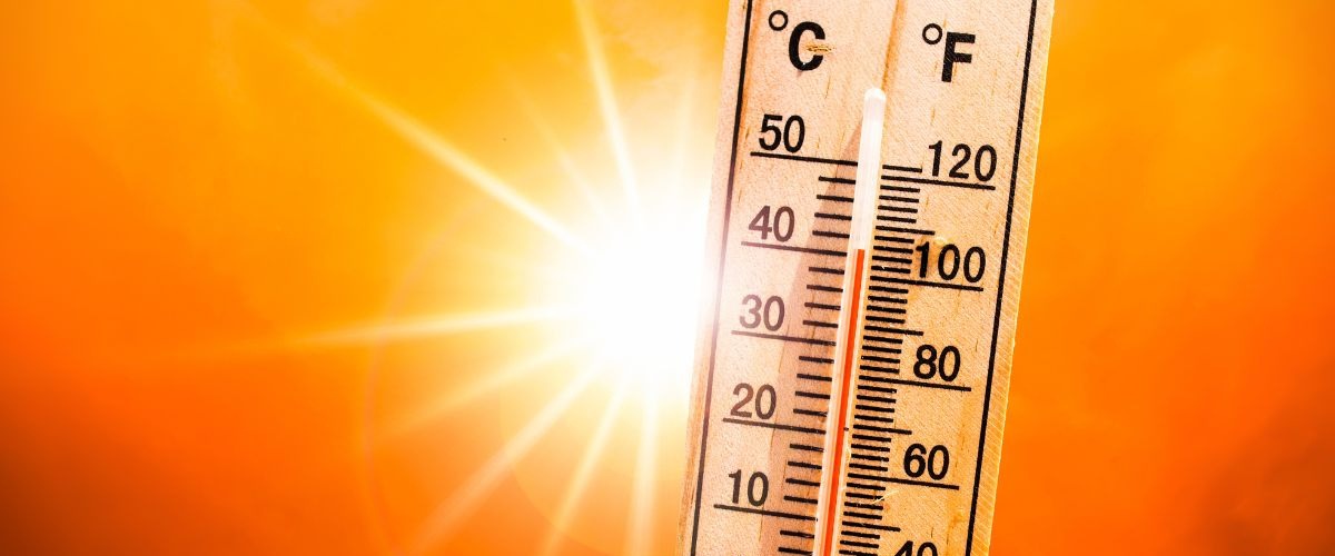 Wooden thermometer reading over 40°c (100°f) against an orange background with sun flare, signifying the importance of protecting trees from extreme heat.
