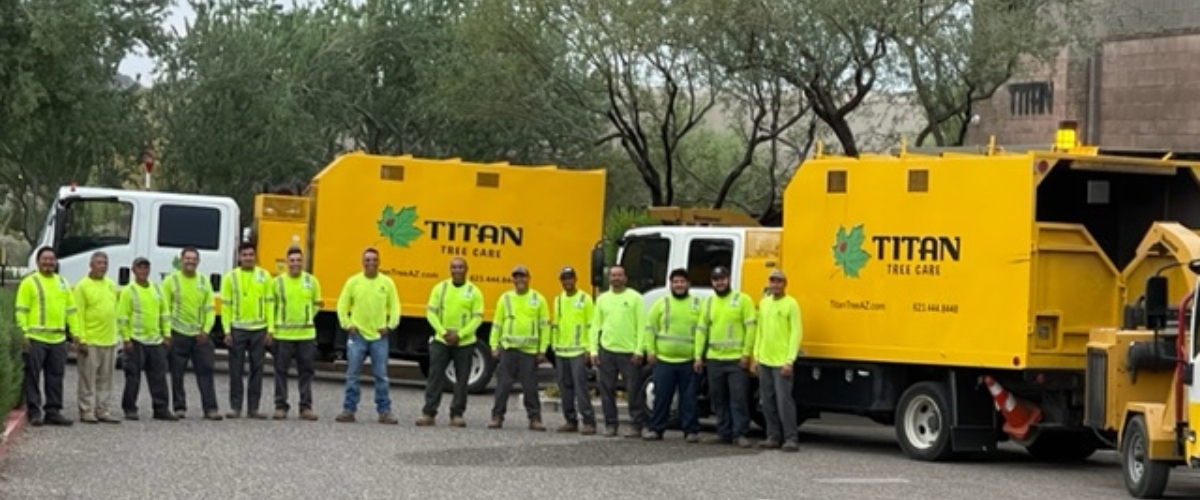 Titan tree care crew standing in front of bright yellow company trucks in a parking area, wearing high-visibility safety gear.
