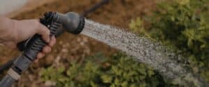 Close-up of a hand holding a garden hose nozzle spraying water onto green foliage and dry mulched soil