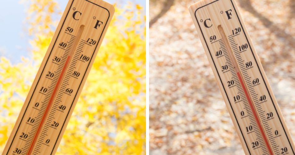 Two images show a thermometer close to 100 degrees fahrenheit in front of a tree with yellow leaves or flowers, and a thermometer close to 80 degrees fahrenheit in front of a partially shaded area.