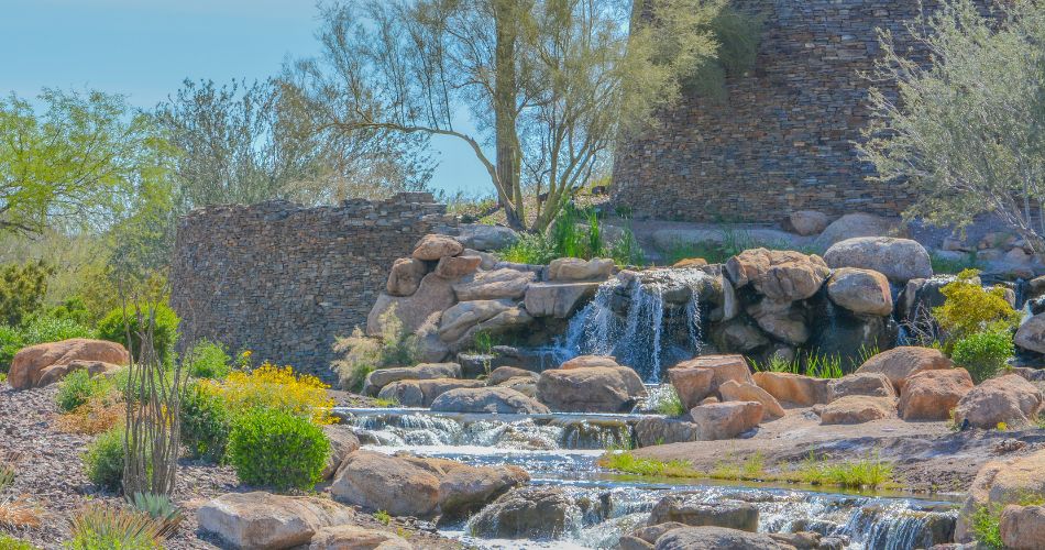 A phoenix-area landscape with trees, plants, and a water feature.