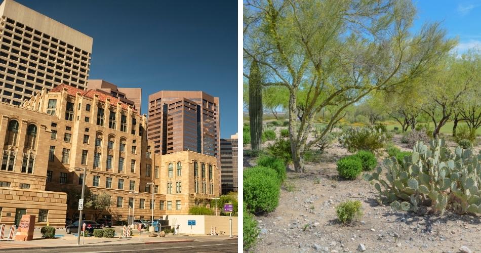 Two images: on the left, the maricopa county courthouse. On the right, an area filled with native plants.