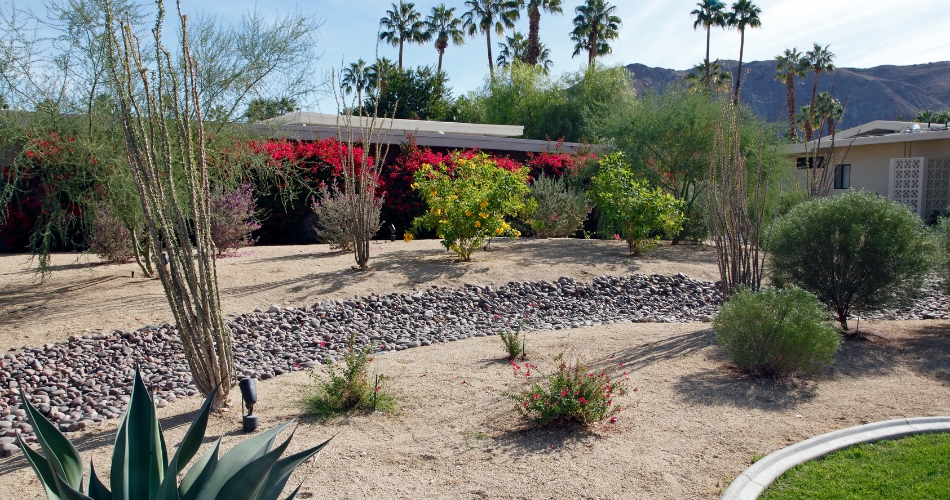 Xeriscaped yard featuring a variety of healthy, thriving plants and trees.