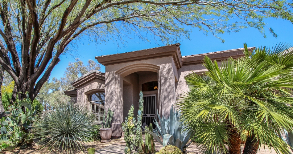 Large mesquite tree providing dappled shade on the south and west sides of a phoenix house.