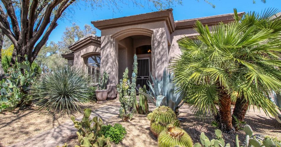 Heat-resistant native trees thriving around arizona home despite extreme phoenix summer temperatures