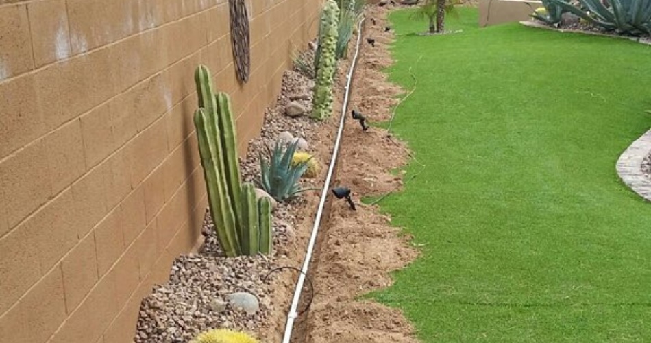 North phoenix backyard showing desert landscaping with cacti, agave, artificial turf, and mature trees demonstrating proper fall watering technique.