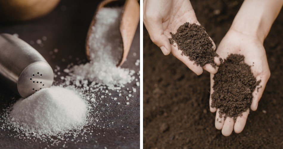 Split image showing white salt crystals spilling from a shaker on the left and two hands holding dark, crumbly desert soil on the right, illustrating the connection between salt buildup and soil health.