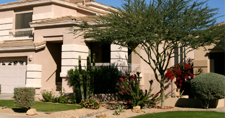 A north phoenix home with desert landscaping including a mature mesquite tree, saguaro cactus, red bougainvillea, and granite groundcover in the front yard.