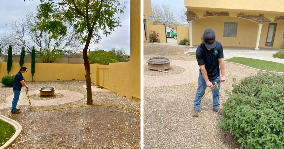 Split image showing a titan tree care crew member applying liquid fertilizer with a soil injector wand – left photo shows treatment near a young tree in a backyard, right photo shows close-up of the injection process near shrubs.