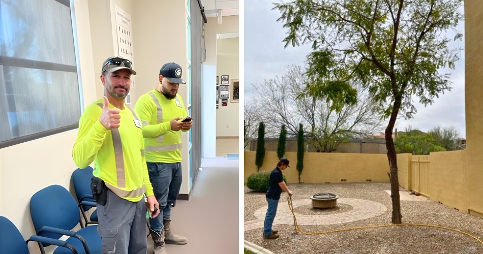 When Do Mesquite Trees Leaf Out In Phoenix? Two titan tree care crew members in high-visibility shirts giving a thumbs up alongside a photo of an arborist applying a root drench treatment to a mesquite tree in a north phoenix backyard.