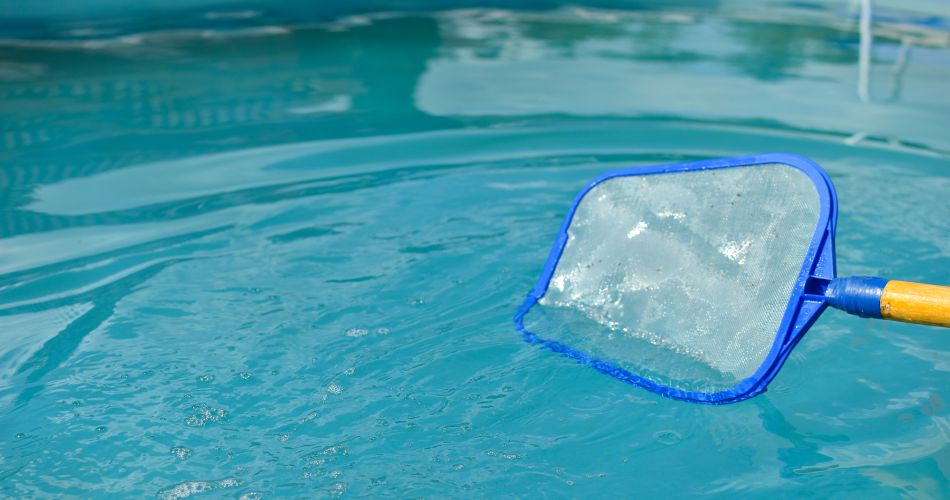 A mesh leaf skimmer net is used to remove tree debris from a swimming pool.