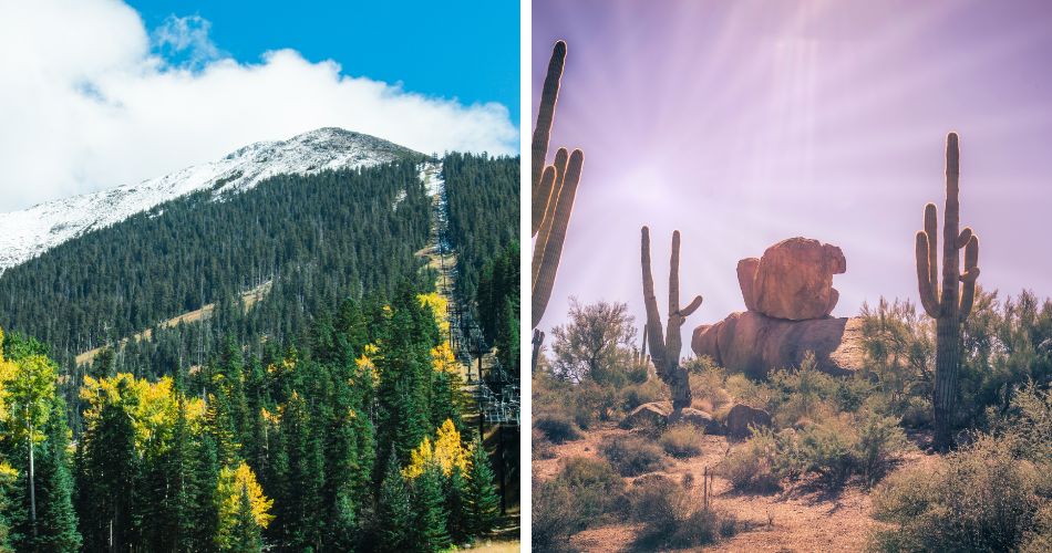 The photo on the left shows colorful foliage and snow on a mountain peak in flagstaff, arizona, while the photo on the right shows desert flora and rocks near phoenix, arizona.