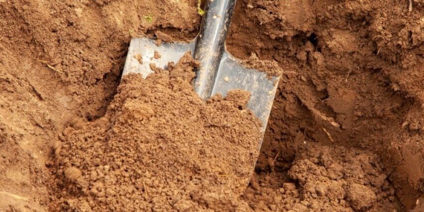 A shovel being used to dig a hole in a lawn.