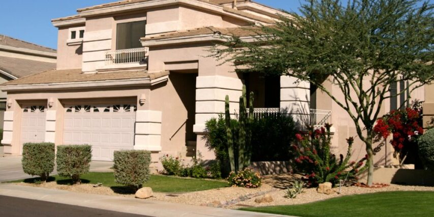 Large shade tree providing cooling comfort for a Phoenix home.