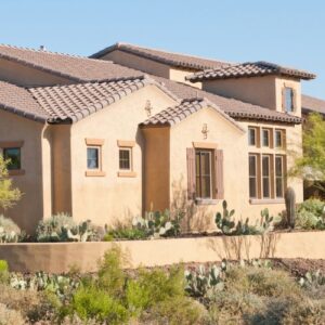 Thriving desert landscape with vibrant trees, showcasing the possibility of healthy trees in the Phoenix area.