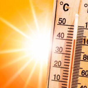 Wooden thermometer reading over 40°C (100°F) against an orange background with sun flare, signifying the importance of protecting trees from extreme heat.