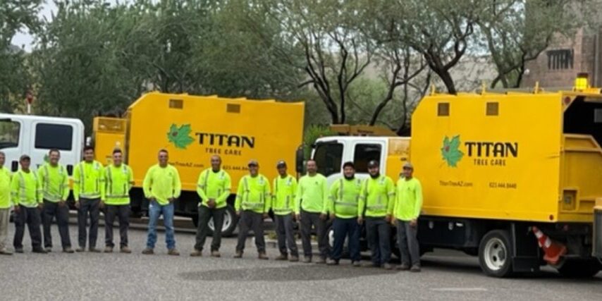 Titan Tree Care crew standing in front of bright yellow company trucks in a parking area, wearing high-visibility safety gear.