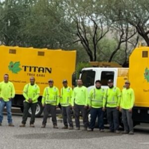 Titan Tree Care crew standing in front of bright yellow company trucks in a parking area, wearing high-visibility safety gear.