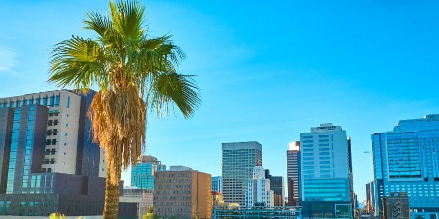 A palm tree with brown, sun-scorched fronds stands in front of the downtown Phoenix skyline under a clear blue summer sky.