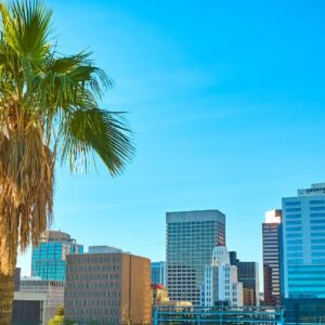 A palm tree with brown, sun-scorched fronds stands in front of the downtown Phoenix skyline under a clear blue summer sky.