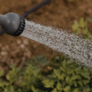 Close-up of a hand holding a garden hose nozzle spraying water onto green foliage and dry mulched soil