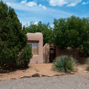 Tree in the North Valley of Arizona with dense, bushy shoots sprouting after a heavy trim.