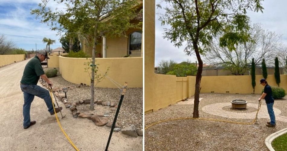 A plant health care technician can evaluate whether a recovering tree needs additional soil or nutrient support instead of assuming fertilizer is the answer. Plant health care technicians watering and treating trees in a Scottsdale landscape