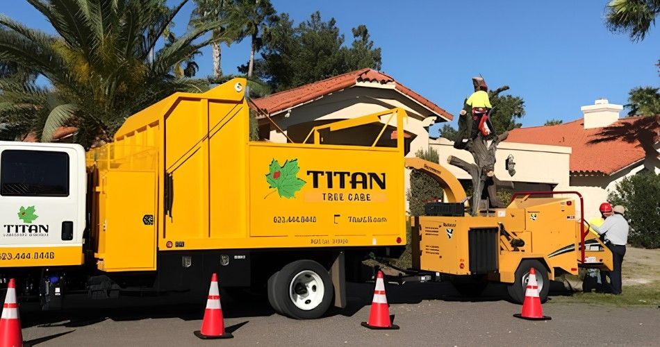 Storm-Damaged Tree In Norterra? Here'S What To Do Next Titan tree care crew using a wood chipper and chip truck during tree removal at a phoenix-area home.